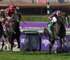 auguste-rodin-impeccabile-nel-turf-santa-anita-usa-breeders