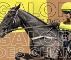 galopin-des-champs uk