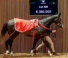 make-me-king-and-beshtani-head-to-qatar-arqana-21-11-2023