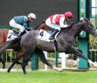 make-me-king-at-arqana-sale