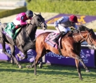 santa-anita-breeders' cup-day-1-unquestionable-per-aidan-o-brien-03-11-2023-usa