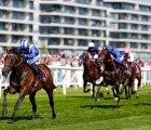 baaeed-dazzles-in-the-lockinge-stakes-newbury-uk-14-05-2022