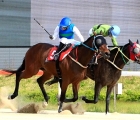 golden-power-wins-korean-oaks-to-move-one-step-away-from-tiara-sweep_-kra-08-05-2022