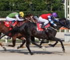 horse-racing-in-korea_-black-musk-beats-raon-the-fighter-in-sprint-series-2nd-leg_-22-05-2022