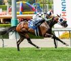 island-of-love-a-segno-in-g3-a-santa-anita-usa-08-05-2022