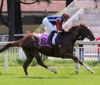 sunny-gold-vince-il-premio-scuderia-diamante-milano-15-05-2022