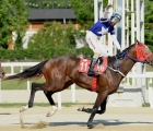 winner-star-wins-the-derby_-kra-15-05-2022