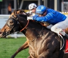 ingratiating-frosted-has-been-preferred-to-paulele-and-kementari-and-will-represent-godolphin-in-the-everest-1200m-to-be-run-at-royal-randwick-on-saturday-15-october