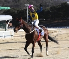 korea-derby-runner-up-seungbusa-is-in-action-at-seoul-on-saturday-but-faces-a-stern-test-_pic-kra_