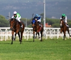 borna-vince-il-141-derby-italiano-di-galoppo-roma-capannelle-19-05-2024