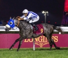 fayq-al-shahania-musheireb-cup-6