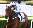 making-dreams-prix-pènèlope-gr-3-x-arqana