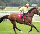 Allevamento: il sangue di Frankel nel 2023 in Italia. Arriva Red Mist!