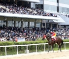 captain-yankee-in-the-ministers-cup -07-01-2023-kra