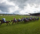 Fairyhouse backdrop
