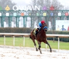 arabian-knight-the-southwest-stakes-g3-usa-09-02-2023