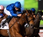 meydan-in-g3-vince-siskany