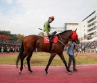 raon-the-fighter-moon-parade-ring-kra