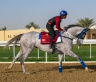 Romagna Mia sabato in Qatar nell’Amir Trophy G1 - 18 02 2023
