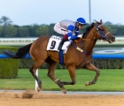 triplo-per-antonio-fresu-a-meydan