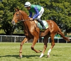 french-2000-guineas-fancy-isaac-shelby-sold-to-wathnan-racing