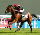 jannah-rose_-top-filly-in-france