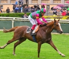 vero-atleta-vince-il-parioli-2023-con-frankie-in-sella