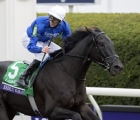 rebels-romance-by-godolphin-ancient-winner