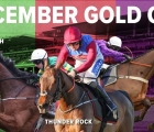 december-_23-gold-cup-a-cheltenham