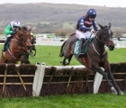 dysart-enos-becomes-cheltenham-festival-favourite-_uk_