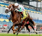 last-call-f-2-english-channel-over-served-by-black-minnaloushe-broke-her-maiden-in-style-with-a-21-1-upset-in-the-gi-natalma-s-at-woodbine-can-18-09-2022