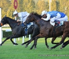 Silver Step vince il Premio Elena e Sergio Cumani G3 con in sella Cristian Demuro 