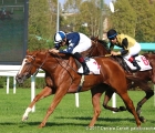 Candy Store con in sella Dario Vargiu vince il GP Elena e Sergio Cumani 