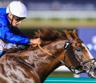 hawkbill-1st-race-8-g1-dubai-sheema-classic-meydan-31-03-18