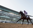 mendelssohn-is-in-a-league-of-his-own-in-the-uae-derby