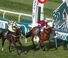 pleasant-company-left-just-fails-to-reel-in-tiger-roll (racingpost)