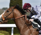 qaysar-a-3-year-old-colt-trained-by-richard-hannon-won-the-novice-stakes-at-kempton-april-6th-2018-(al-shaqab-racing)