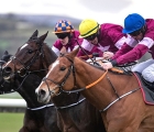 dounikos-near-side-stayed-on-well-to-win-the-grand-national-trial-at-punchestown