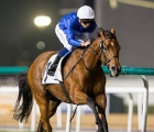 ispolini-gained-a-first-pattern-success-when-in-the-g3-nad-al-sheba-trophy-at-meydan-uae-on-thursday-28-02-19-at-the-dubai-world-cup-carnival