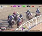 korea-seoul-road-winner-was-an-also-ran-in-the-grand-prix-stakes-17-02-2019