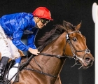 mountain-hunter-leading-home-a-godolphin-clean-sweep-in-turf-handicap-at-meydan-uae-on-thursday-28-02-19