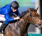 mythical-magic-gained-g2-zabeel-mile-meydan-21-02-2019