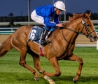 silent-speech-finds-top-voice-in-dubai-trophy-meydan-uae-21-01-2022