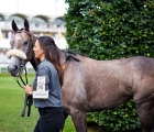 goodwood_37187736331