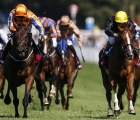 Stradivarius yellow hat beating Torcedor to land the Goodwood Cup 2018