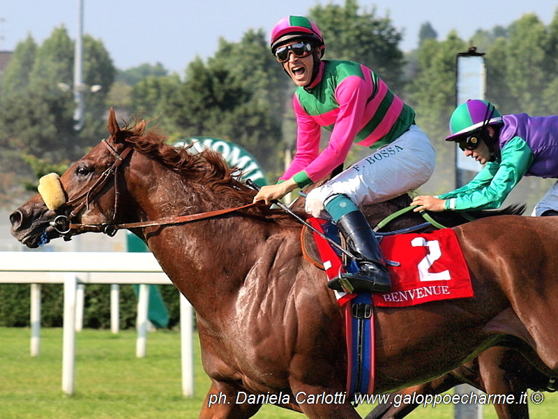 ppodromo di Milano San Siro Galoppo, 8 giugno 2014 : Federico Bossa in sella a Benvenue (Sc. Incolinx) vince il Gran Premio di Milano (G1).