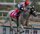 World Approval too good for Europeans in Woodbine Mile