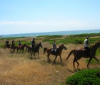 Horse-Riding