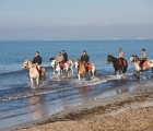 Passeggiata a cavallo al mare