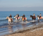 Passeggiata a cavallo al mare